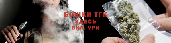 молекула духа Надым