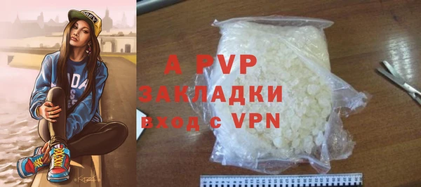 молекула духа Надым