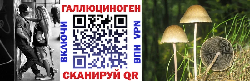 Псилоцибиновые грибы мухоморы Купить закладки Менделеевск
